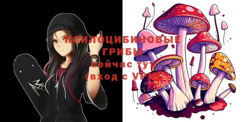 купить  сайты  ссылка на мегу маркетплейс  Галлюциногенные грибы Psilocybe  Лакинск 